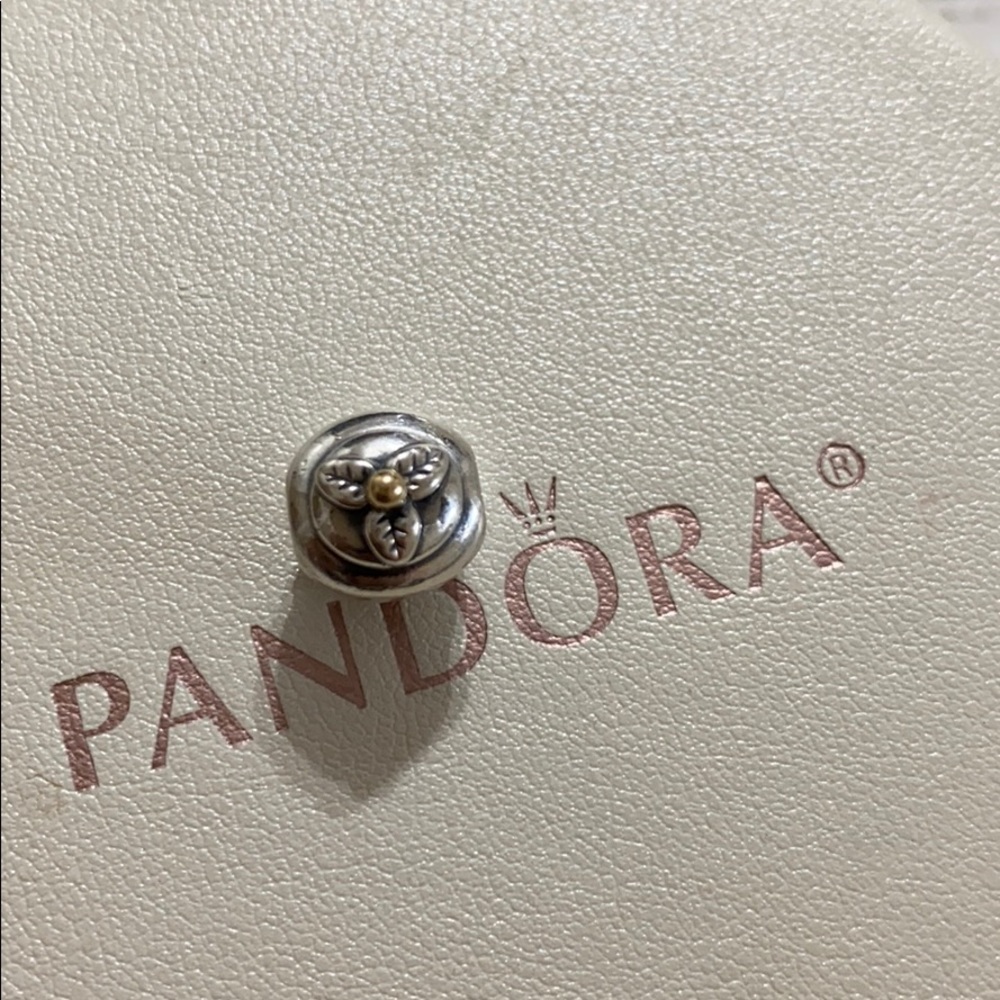 Pandora Authentic Cupcake Charm Two Tone !! - image 4